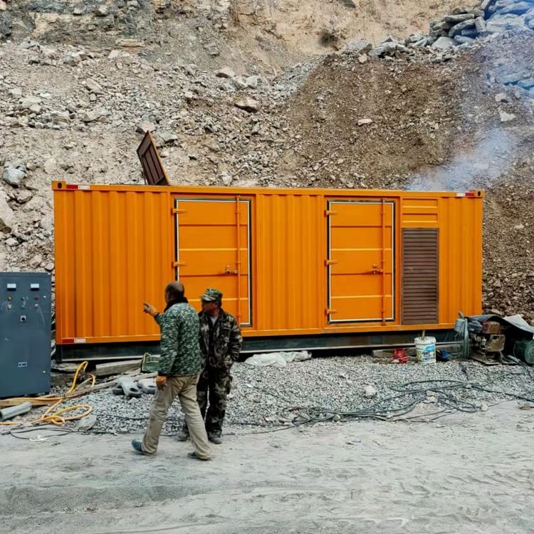 巴里坤如何选择适合自己的 800KW 柴油发电机组？